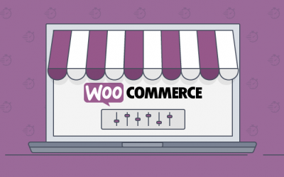 Divi Theme and Woocommerce