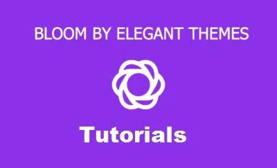 Install Bloom Plugin in 4 Easy Steps