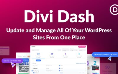 Divi Dash: The Ultimate WordPress Site Management Dashboard